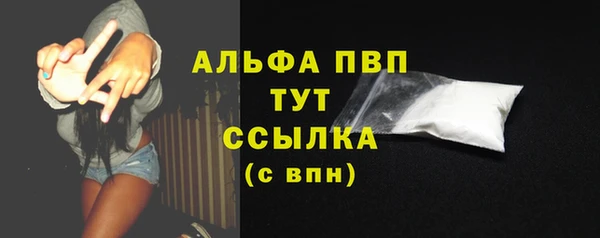гидра Богданович