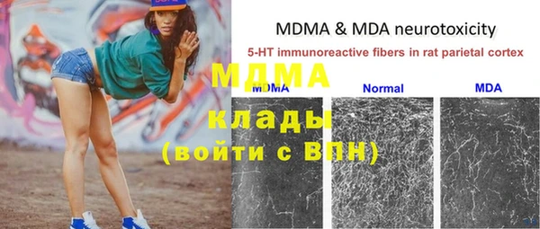 гидра Богданович