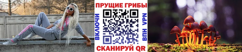 Галлюциногенные грибы прущие грибы  Воскресенск 